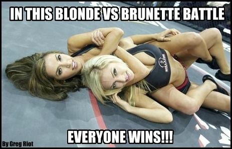 In-this-blonde-vs-brunette-battle-everyone-wins-1_zps5dfba5a6.jpg