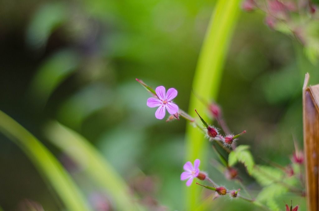 00000000-0000-0000-0000-000000000068_1.j