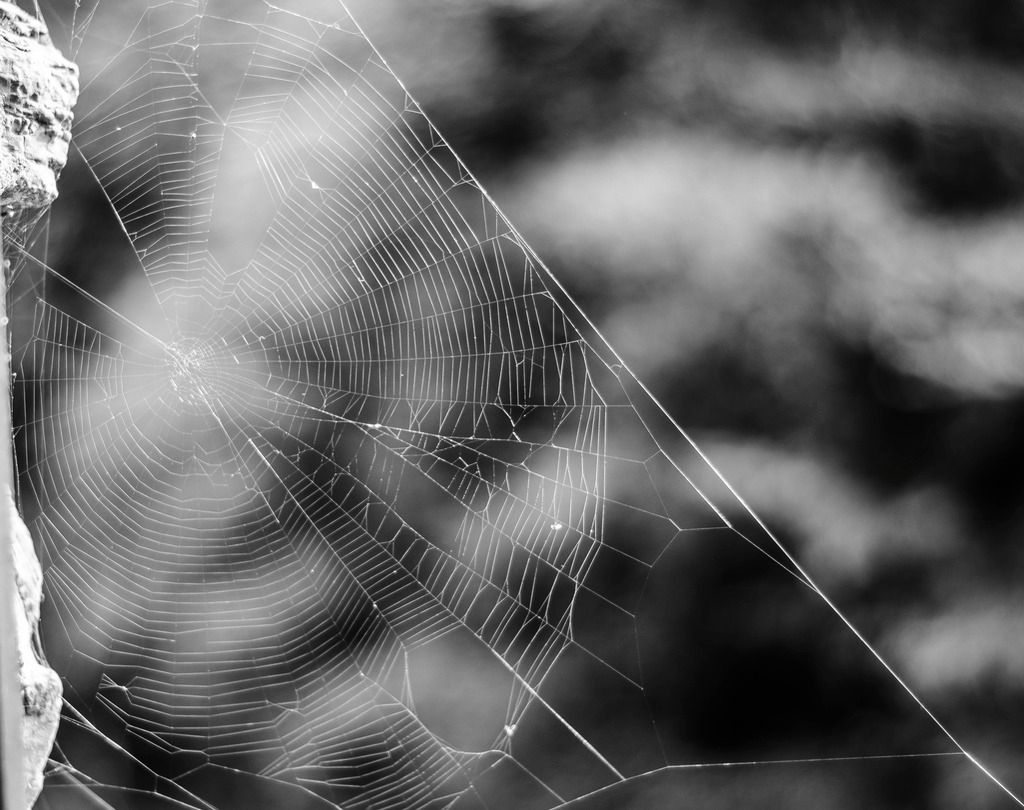 00000000-0000-0000-0000-0000000000E9_1.j