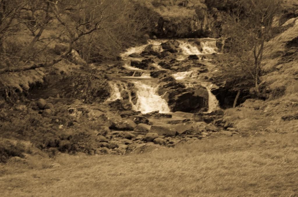 DSC_6529-1.jpg
