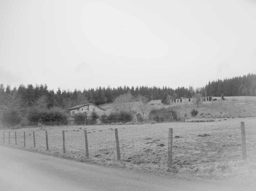 DSC_6530-1.jpg