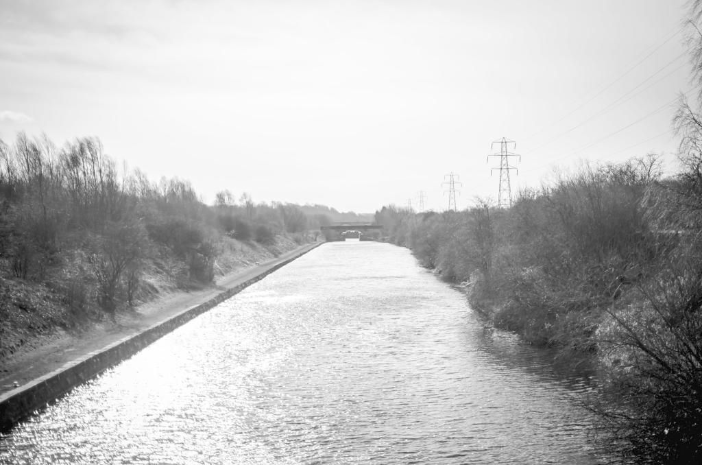 DSC_6676-1.jpg