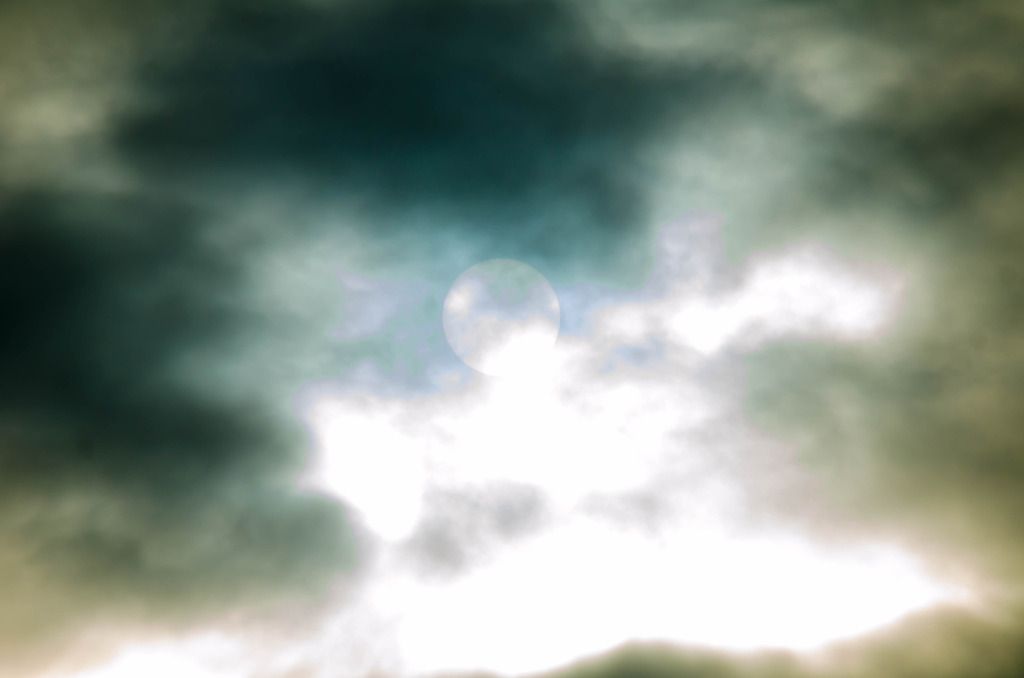 DSC_7084-1.jpg