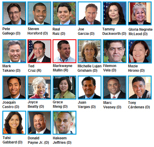 meet-the-new-minority-members-in-congress