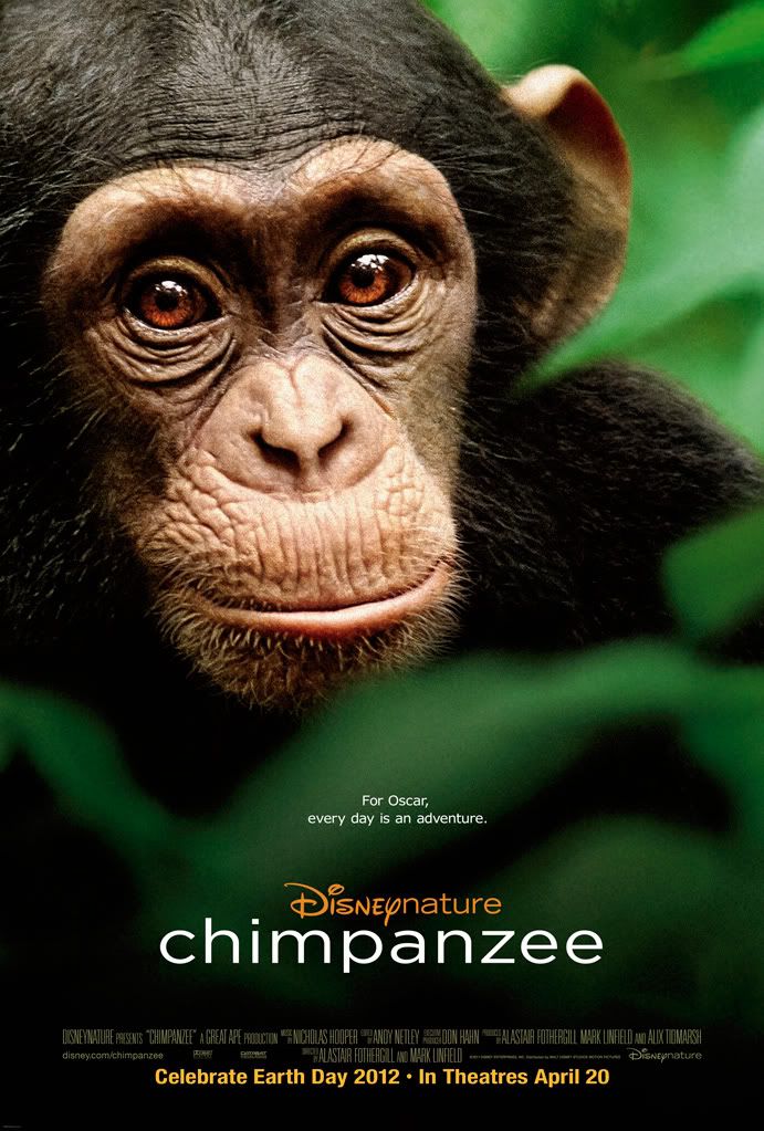 Chimpanzee2012.jpg