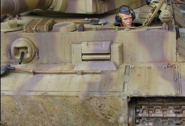 tiger1k-3.jpg