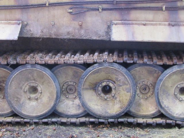tigerg-1.jpg