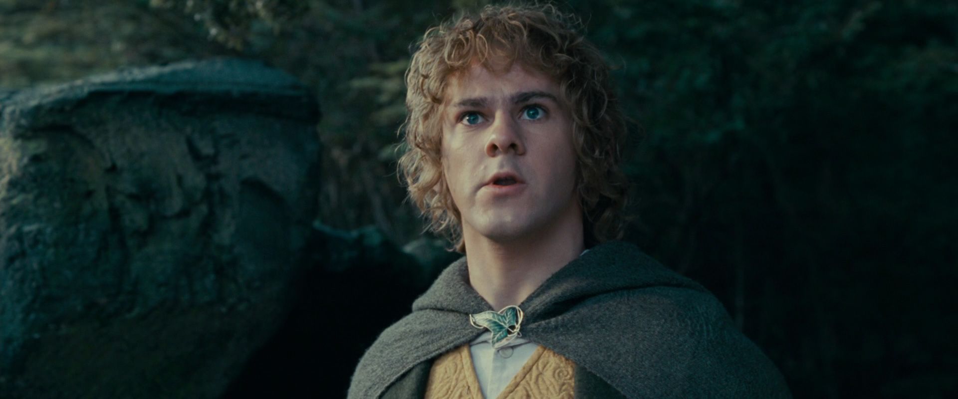 Merry Brandybuck Actor