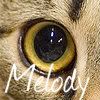 Melodykit Avatar