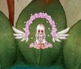 pinkrosewings_zps2da27d88.jpg