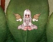 goldenwing_zps02cdc7ee.jpg