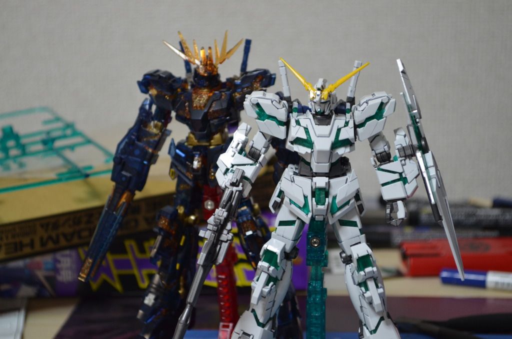 Forum Image: http://i1049.photobucket.com/albums/s396/FreeOtakuGhost367/MA%20GUNPLAS/DSC_0305.jpg