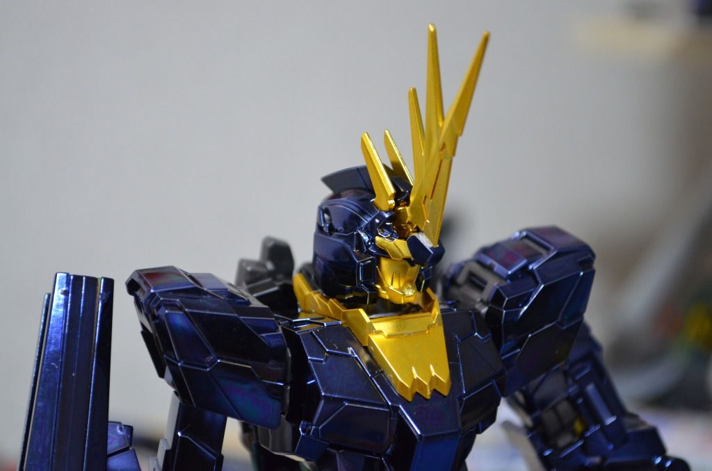 Forum Image: http://i1049.photobucket.com/albums/s396/FreeOtakuGhost367/MA%20GUNPLAS/DSC_0591.jpg