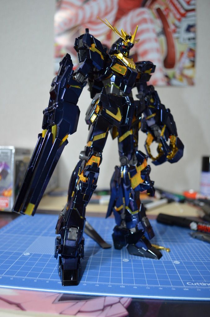 Forum Image: http://i1049.photobucket.com/albums/s396/FreeOtakuGhost367/MA%20GUNPLAS/DSC_0594.jpg