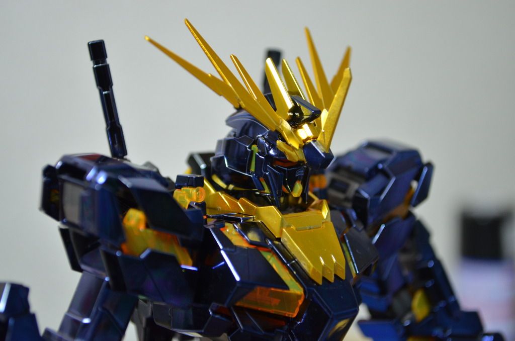 Forum Image: http://i1049.photobucket.com/albums/s396/FreeOtakuGhost367/MA%20GUNPLAS/DSC_0596.jpg