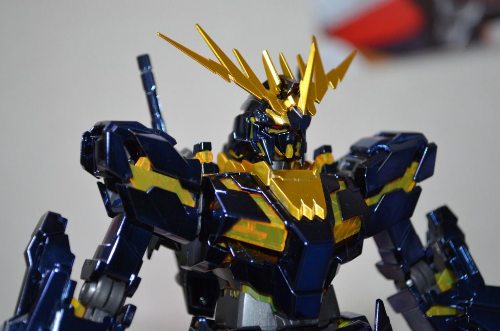 Forum Image: http://i1049.photobucket.com/albums/s396/FreeOtakuGhost367/MA%20GUNPLAS/DSC_0598.jpg