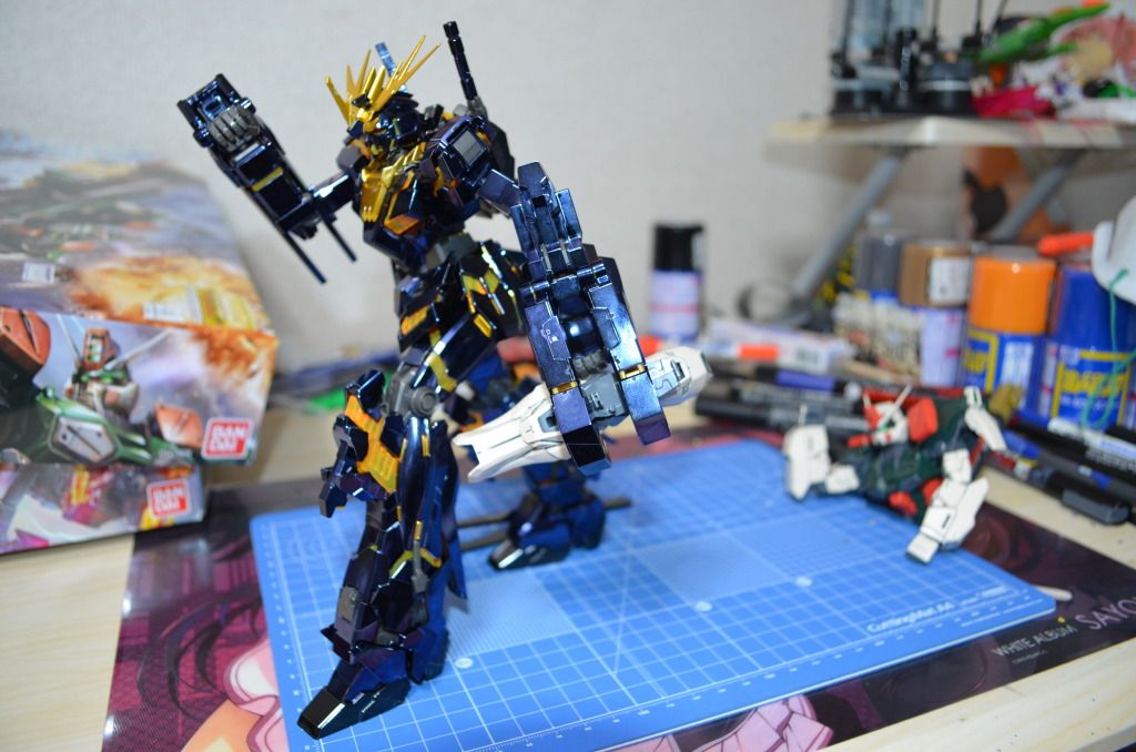 Forum Image: http://i1049.photobucket.com/albums/s396/FreeOtakuGhost367/MA%20GUNPLAS/DSC_0601.jpg