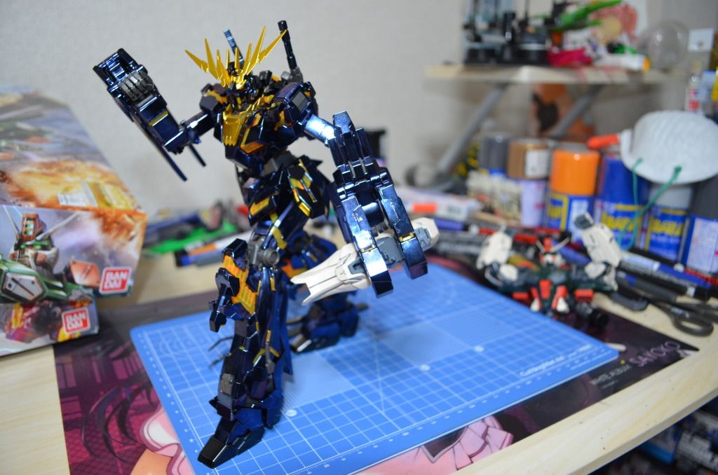 Forum Image: http://i1049.photobucket.com/albums/s396/FreeOtakuGhost367/MA%20GUNPLAS/DSC_0602.jpg