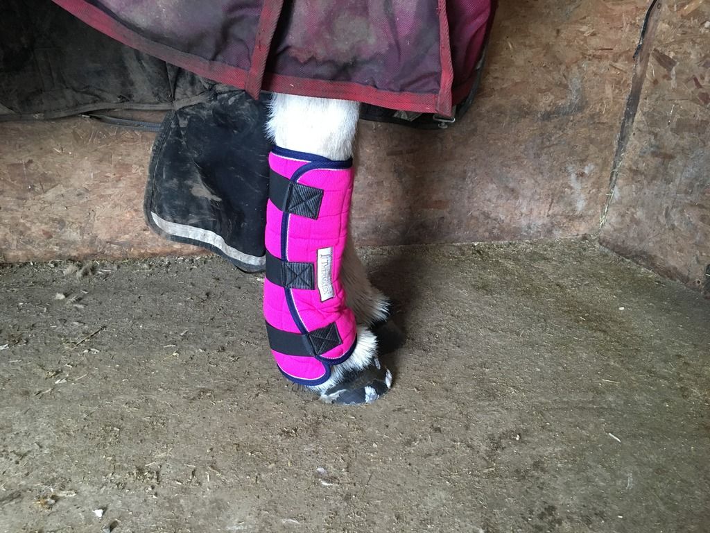 Thermatex leg wrap sizing Horse and Hound Forum