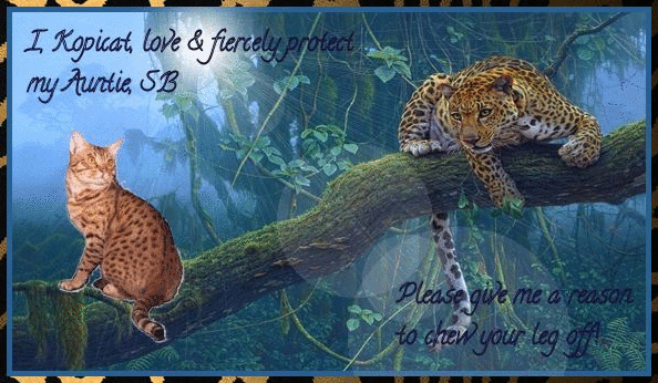 SB leopard border photo imageedit_8_5145482566.gif