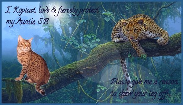 SB no leopard border photo zSBstamp.jpg