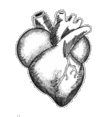 photo imageedit_24_3099694129.gif