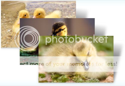 Ducklingstheme.jpg