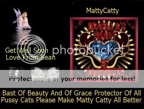Love for Matty Catty photo LindsayandSeanLoveforMattyCatty_zps7fa03870.jpg